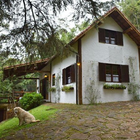 Chalet Da Hortensias Villa Cunha Eksteriør bilde