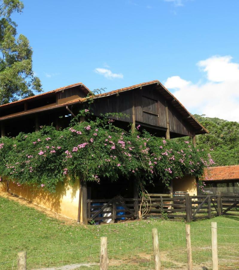 Chalet Da Hortensias Villa Cunha Eksteriør bilde